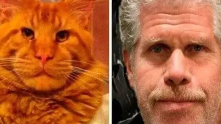Olhe Duas Vezes, Ria Duas Vezes: 40 Fotos Escandalosamente Divertidas de Doppelganger