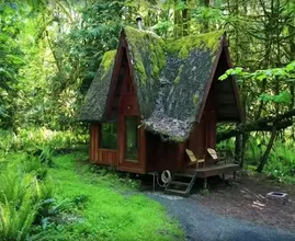 Ein echter Hingucker: Dieses zauberhafte Haus mitten im Wald ist größer, als es scheint
