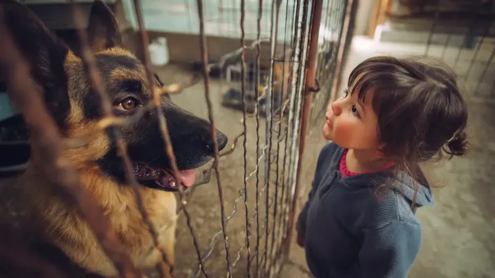 Mutter lässt ihr Baby nur Sekunden lang mit deutschem Schäferhund allein - was sie dann sieht, erschreckt sie!