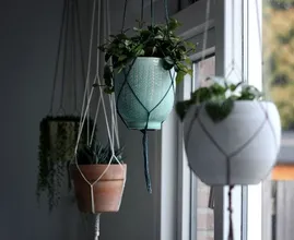 Deze 10 prachtige hangplanten wil jij hebben in je huis