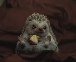 Freddie het egeltje verovert harten in nieuwe reclame Staatsloterij