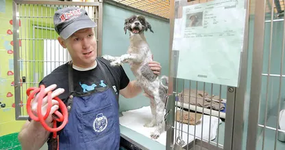 Niemand wilde deze honden nog hebben, totdat Mark Imhof deed wat hij moest doen! Wat een held!