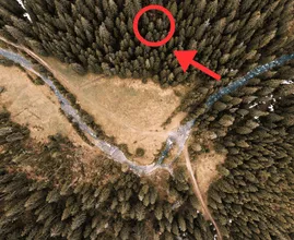 Drone captura algo que ninguém deveria ver