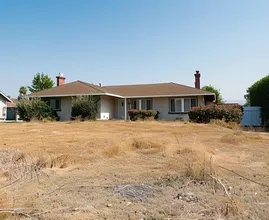 This is how to keep your lawn nice and green!