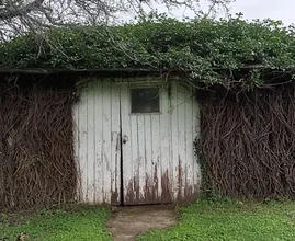 This Young Woman Lives in Old Overgrown Shed – But Wait Until you see Inside!