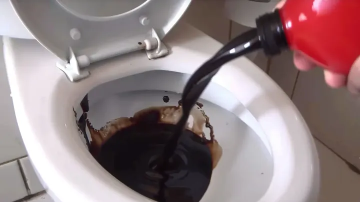 Sie wirft einen halben Liter Cola in die Toilette. Was dann passiert, ist wirklich bizarr! Probieren Sie es selbst aus!
