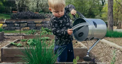 Eine Studie zeigt, dass Gartenarbeit das Krebsrisiko senken kann