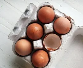 5x You can also get food poisoning from this food