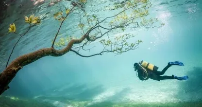 Weg met die ouderwetse snorkel! Met deze fantastische uitvinding kun je als een vis in het water ademen!