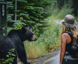 Woman Follows Bear into the Forest After It Unexpectedly Approaches Her at Bus Stop