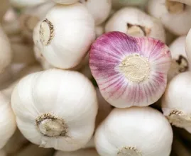 Ecco perché dovresti dormire con uno spicchio d'aglio sotto il cuscino
