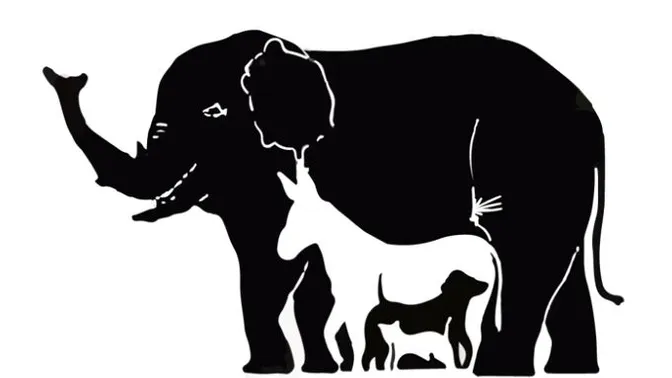 Wie viele Tiere entdeckst du? Kaum jemand kommt auf die richtige Anzahl.