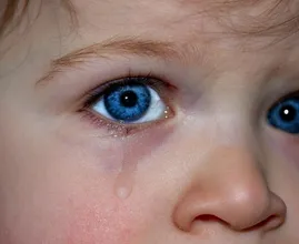 School van overleden kinderen treindrama Oss plaatst emotionele rouwadvertentie
