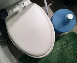 These two common cleaning mistakes make your toilet a true breeding ground for bacteria!