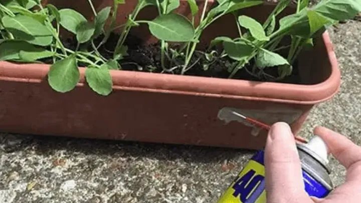 40 fantastici trucchi con il WD-40 da utilizzare in casa