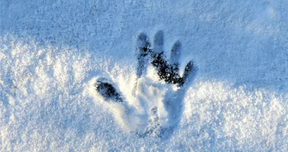 Berg de muts nog niet op: woensdag weer een paar centimeter sneeuw