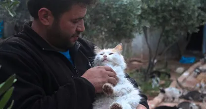 Wat er ook gebeurt, ik blijf bij ze”: deze dierenvriend waagt zijn leven Syrië voor zwerfkatten, wat een held!