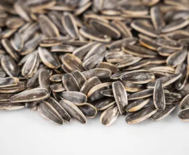 4 reasons why you should eat more sunflower seeds