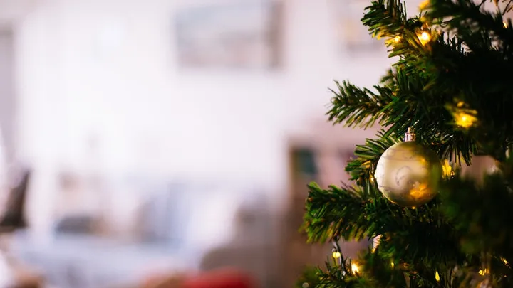 Altijd verkouden in december? Misschien heb je een kerstboomallergie