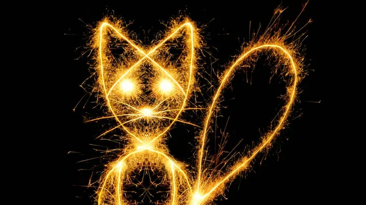 Wees verstandig, bescherm je huisdieren tegen vuurwerk met deze slimme tips!