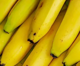 Hoe (on)gezond is het om elke dag meerdere bananen te eten?