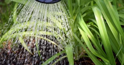 9 tips om water te besparen in je huis en in de tuin
