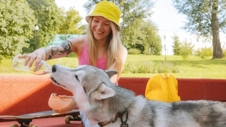7 Words That Dogs Can Understand (And 4 That No Dog Can)