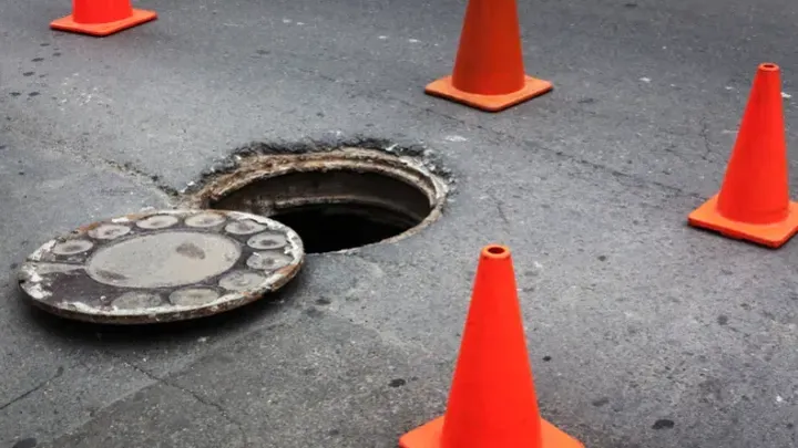 Cada día, un perro se asoma a un desagüe pluvial: ¡descubrimiento espeluznante al abrirlo!