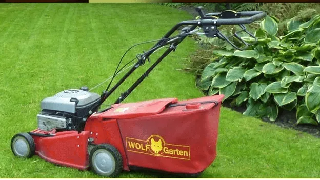 WAARSCHUWING: niet gaan grasmaaien vandaag! Lees hier hoe je je tuin wél de hittegolf doorhelpt!