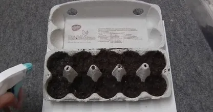 Ne jetez pas vos boîtes d’œufs en carton : voici ce que vous pouvez faire avec ! Incroyable !