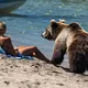 海岸で熊に襲われた女性、熊を追って海に入る