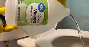 Legen Sie ein Essigtuch in Ihre Toilette und werden Sie Zeuge der Magie!