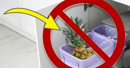 Why You Should Stop Throwing Away The Top Leaves Of Your Pineapples