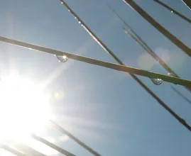 Door de zure appel heen bijten: ‘Vanaf zaterdag zomers weer verwacht’