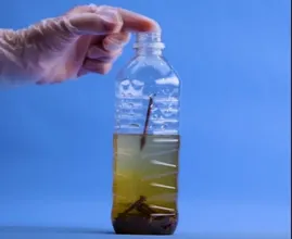 Put rusty nails in a plastic bottle and see what you can do with it