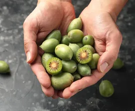 The grape-sized kiwi you eat skin and all is back in the shops, but only until the autumn harvest runs out