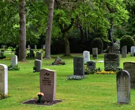 Noord-Brabant, Drenthe en Flevoland hebben meeste oversterfte