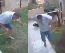 Ops: L'uomo fa saltare completamente in aria il giardino dopo aver cercato di liberarsi degli scarafaggi
