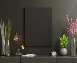 Thinking of painting your house a dark colour? Experts say there's something you should check first
