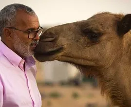 8 histoires étonnantes d’animaux qui se sont vengés des humains