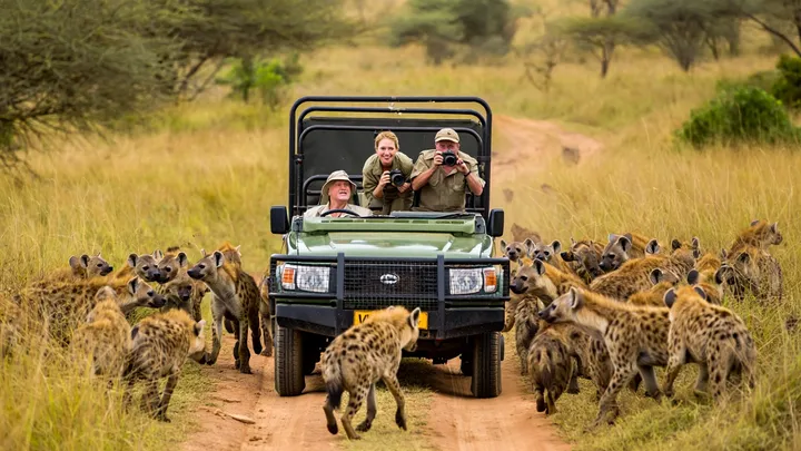 Safari Jeep Surrounded by Hyenas – But What the Driver Does Next Stuns Them All!