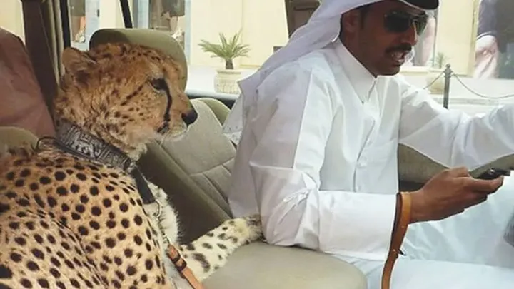 47 locuras que sólo se encuentran en Dubai