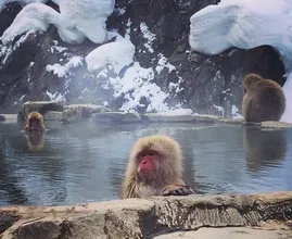 Wildlife pictures you normally don't see