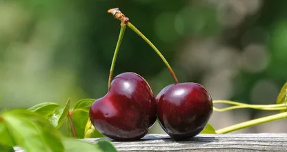 Diepvriesfruit of vers fruit: wat is gezonder?
