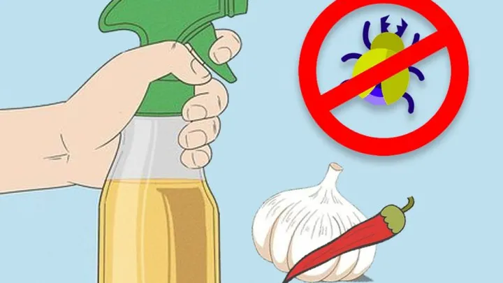 Maak je eigen insectenspray met deze gebruikelijke ingrediënten, zonder chemicaliën!