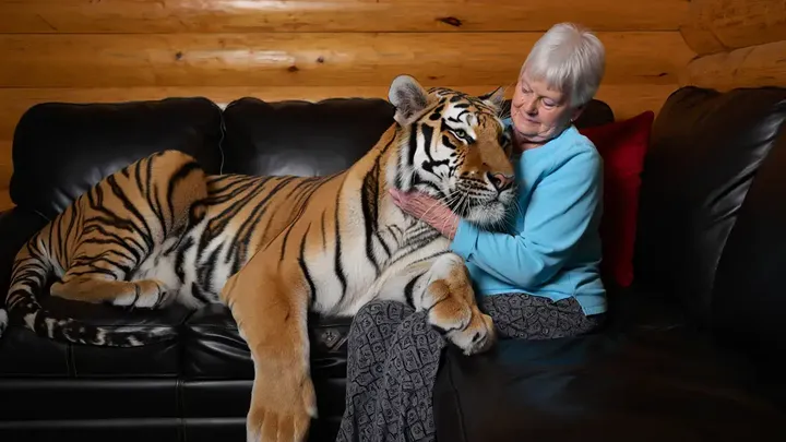 Esta senhora idosa vive com um tigre de estimação