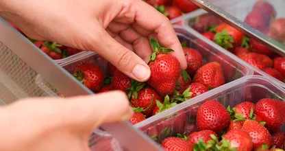 Aardbeien: vergeet de koelkast, deze eenvoudige methode houdt ze langer vers