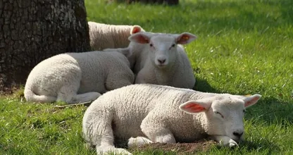 De paraplu kan in de kast: ‘Maart belooft warm en droog te worden’