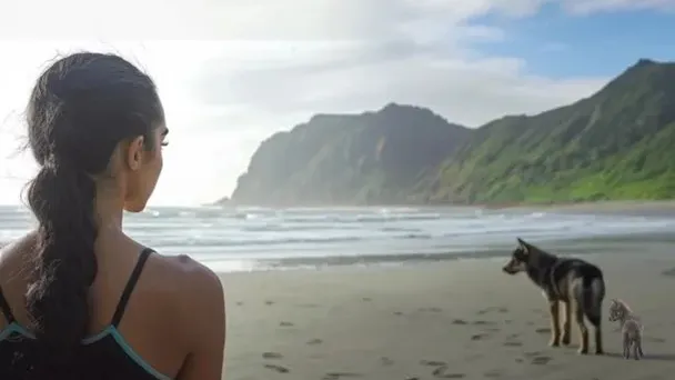 Frau folgt Wolf ins Meer, nachdem er sich ihr am Strand genähert hat