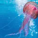 These Are The 8 Most Dangerous Animals On Earth
